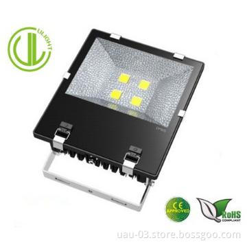 10/20/30/50/80/100W led floodlight, floodlight ,LED Flood Light